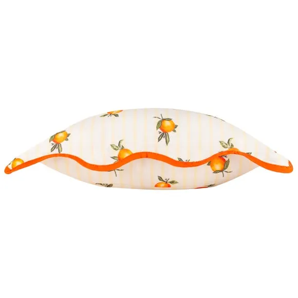 Fruits Oranges Outdoor Square Cushion 4