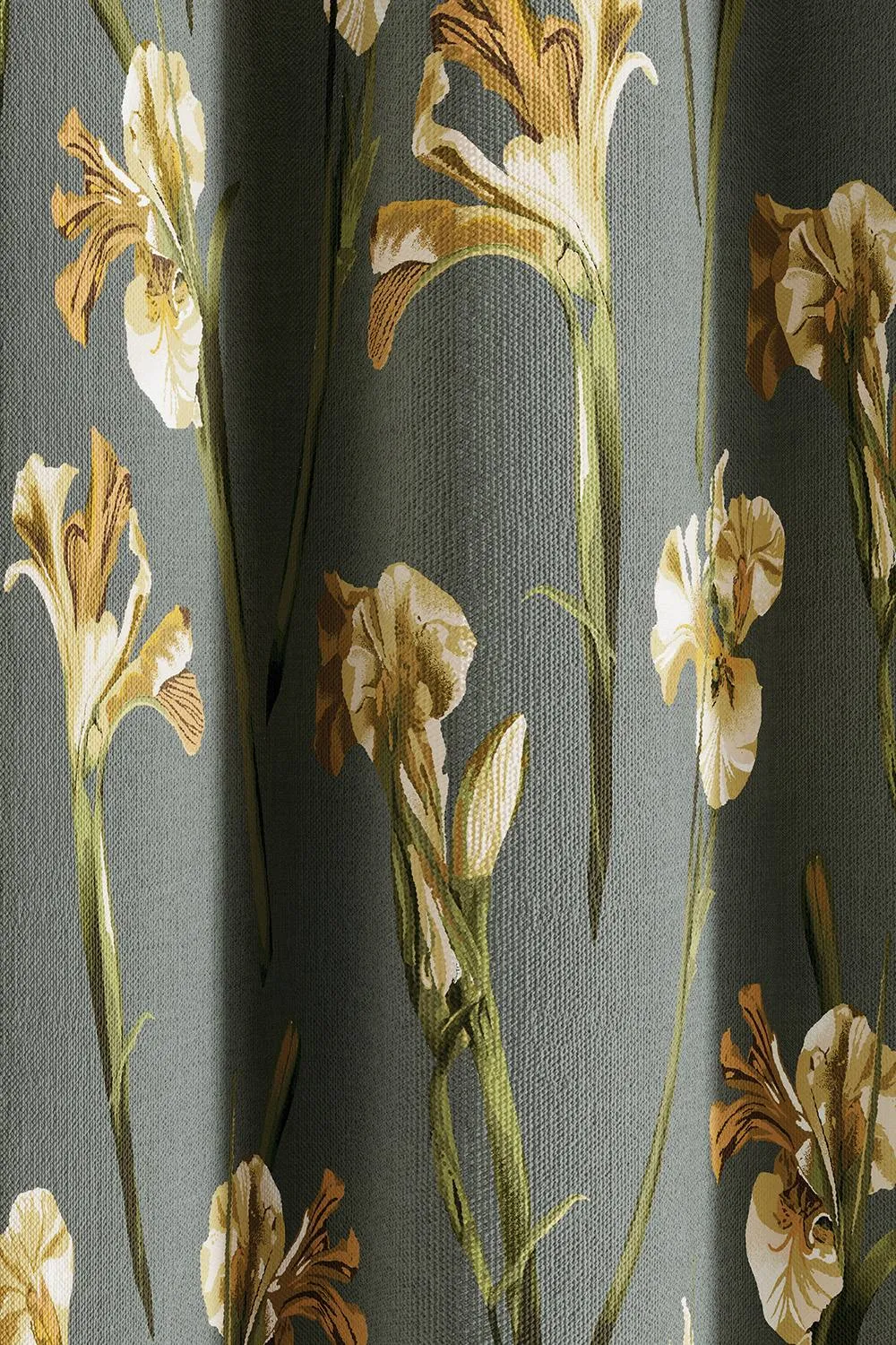 Ted Baker 'Wild Iris' Cotton Lined Curtains in Charcoal 3