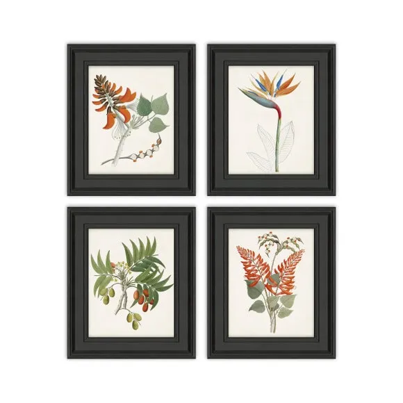 Set of 4 Botanical Tropics Framed Prints 2