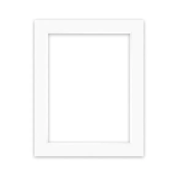Nielsen Conservation White Picture Mount 1