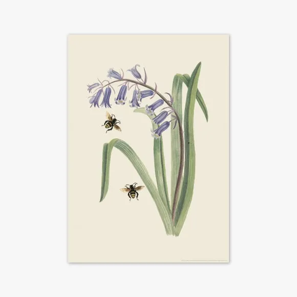 East End Prints Bee & Wild Hyacinth Print 2