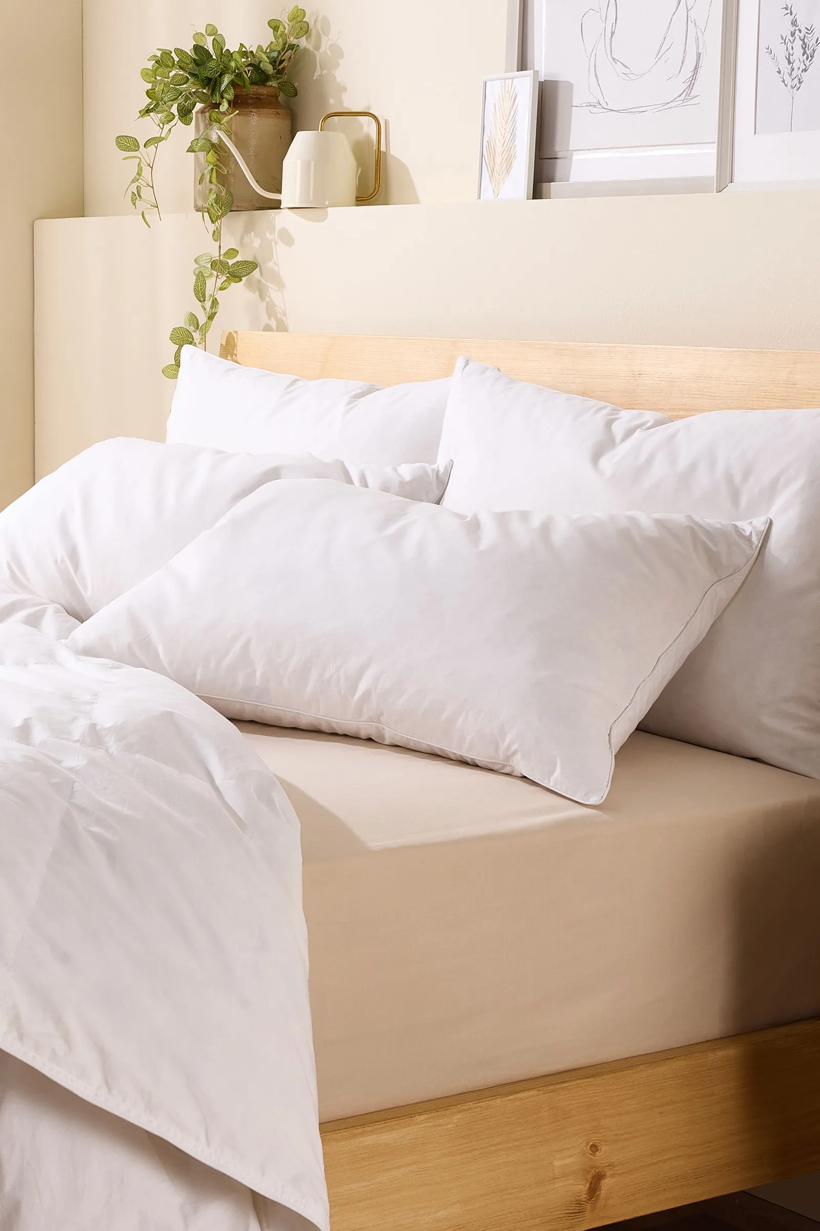 Snuggledown 4 Pack Scandinavian Duck Feather & Down Medium Support Pillows in White