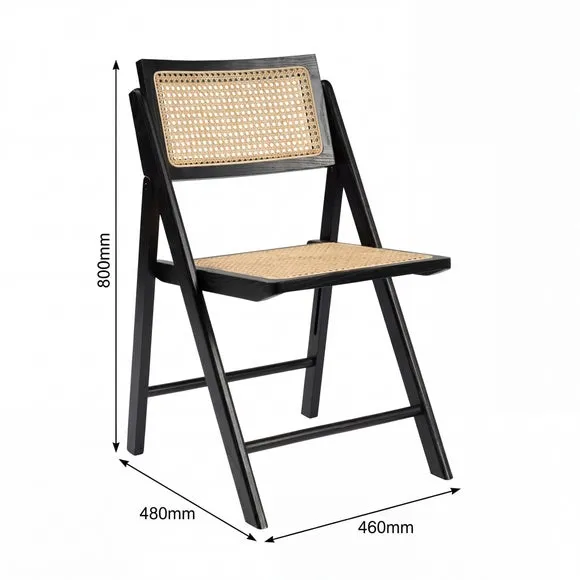 Ashton Rattan Dining Chair 6