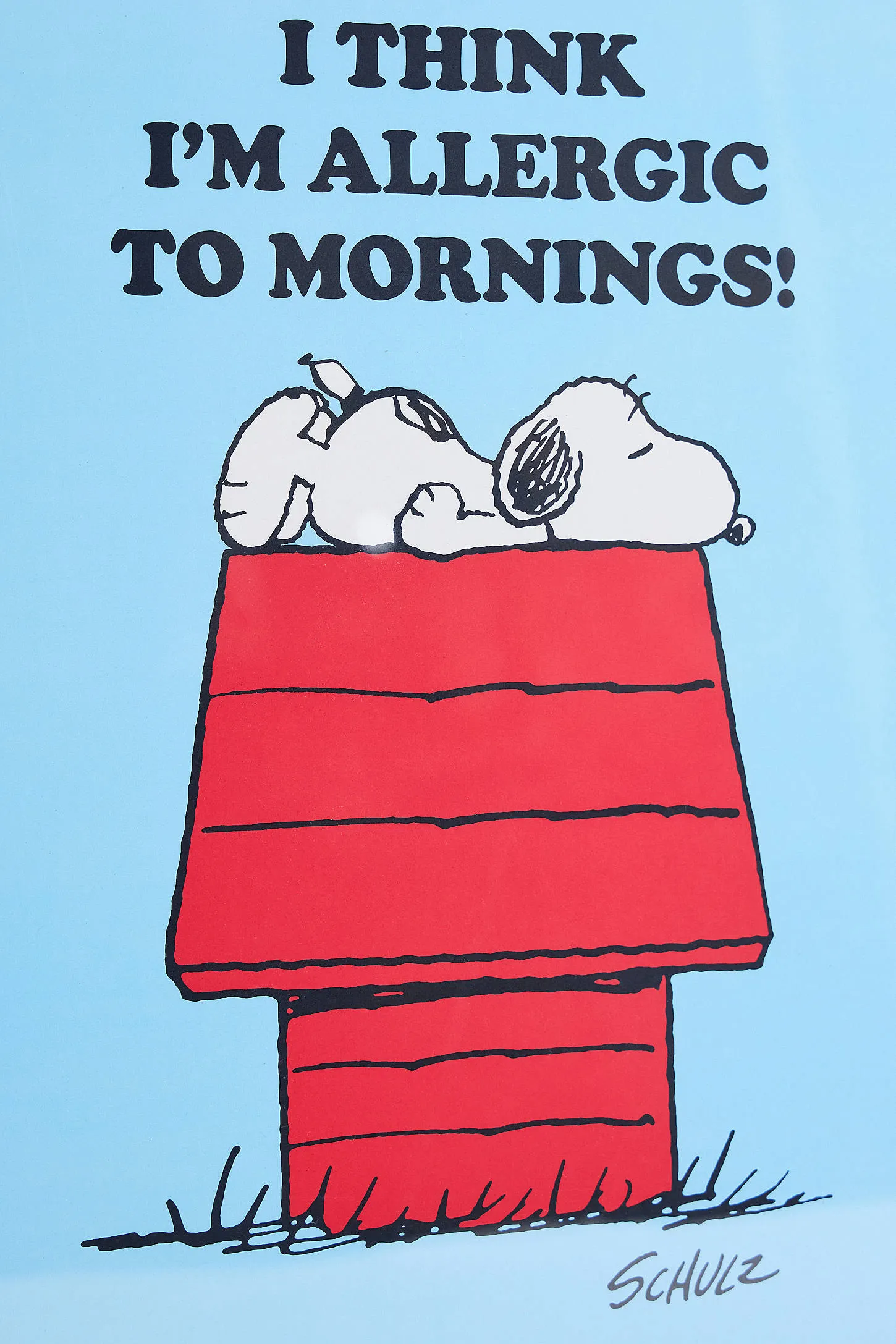 Magpie x Peanuts Snoopy I Think I'm Allergic To Mornings! Framed A3 Wall Art Print - Sky ALL 2