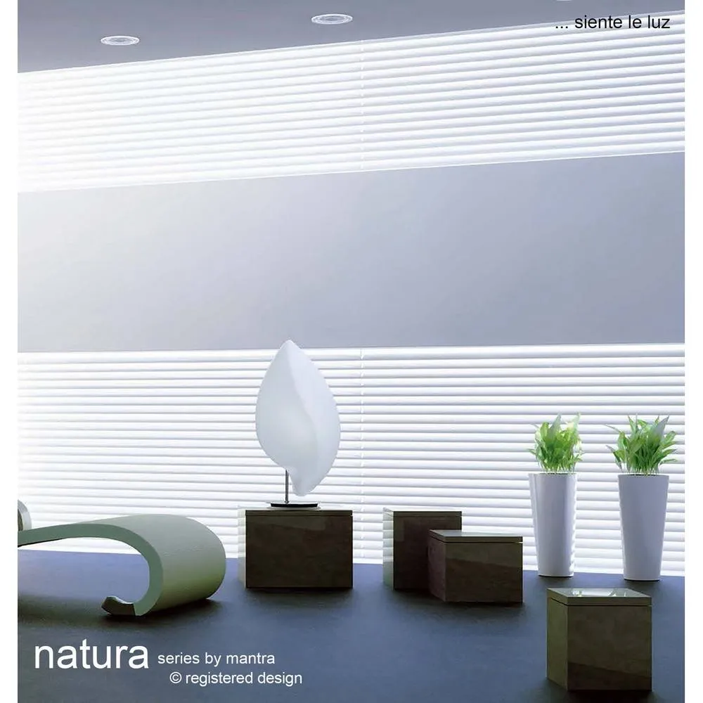 Netlighting Natura CeilingWall 2 Light E27 Small Indoor Polished ChromeOpal White 5