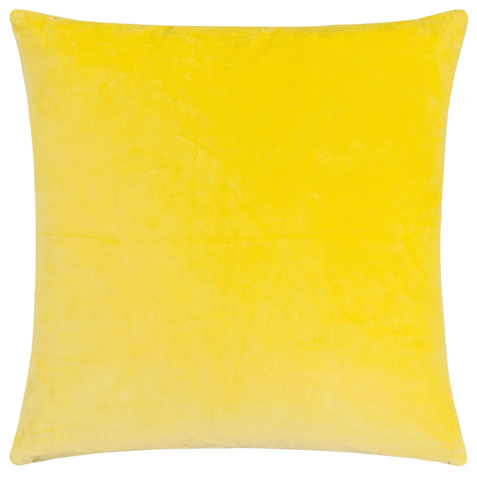 Paoletti Mentera 100% Cotton Floral Cushion in Yellow 3