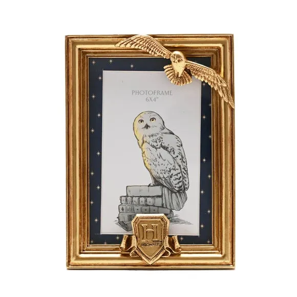 Harry Potter Hedwig Photo Frame 2