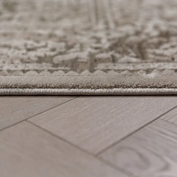 Maia Traditional Distressed Rug 4