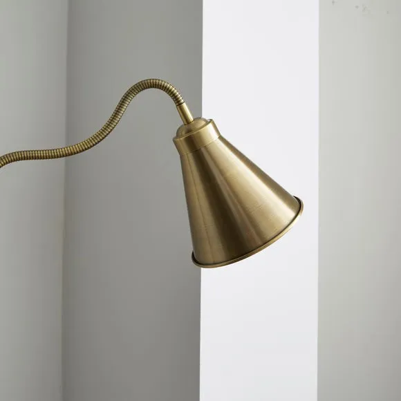 Newton Industrial Goose Neck Adjustable Floor Lamp 3