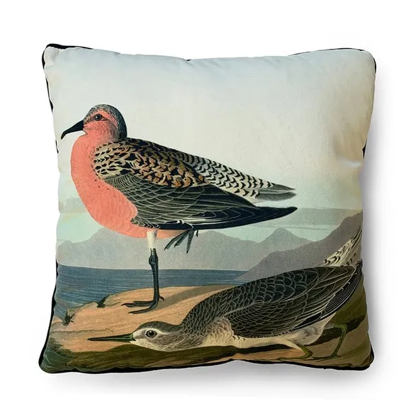 The Art Group John James Audubon Red breasted Sandpiper Velvet Square Cushion 2