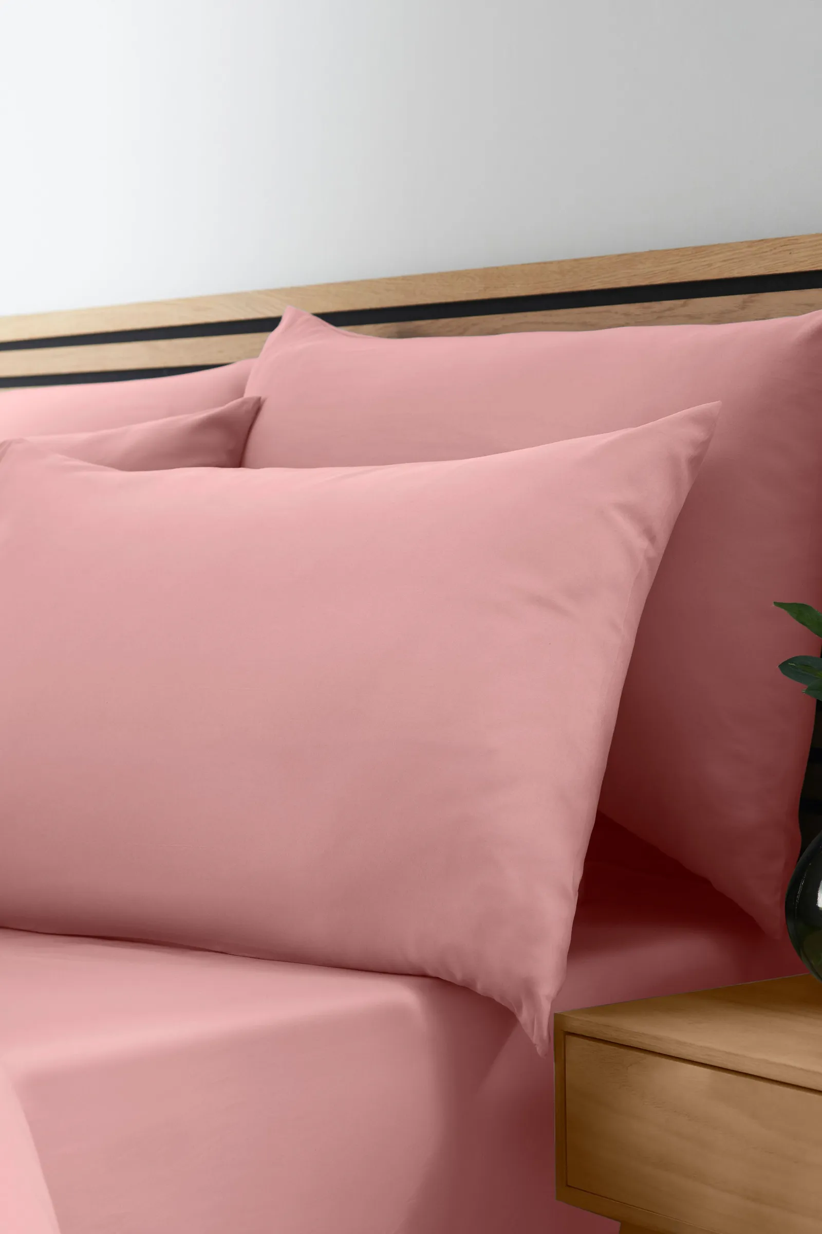 Catherine Lansfield So Soft Non Iron Standard Pillowcase Pack of 4 in Coral 2