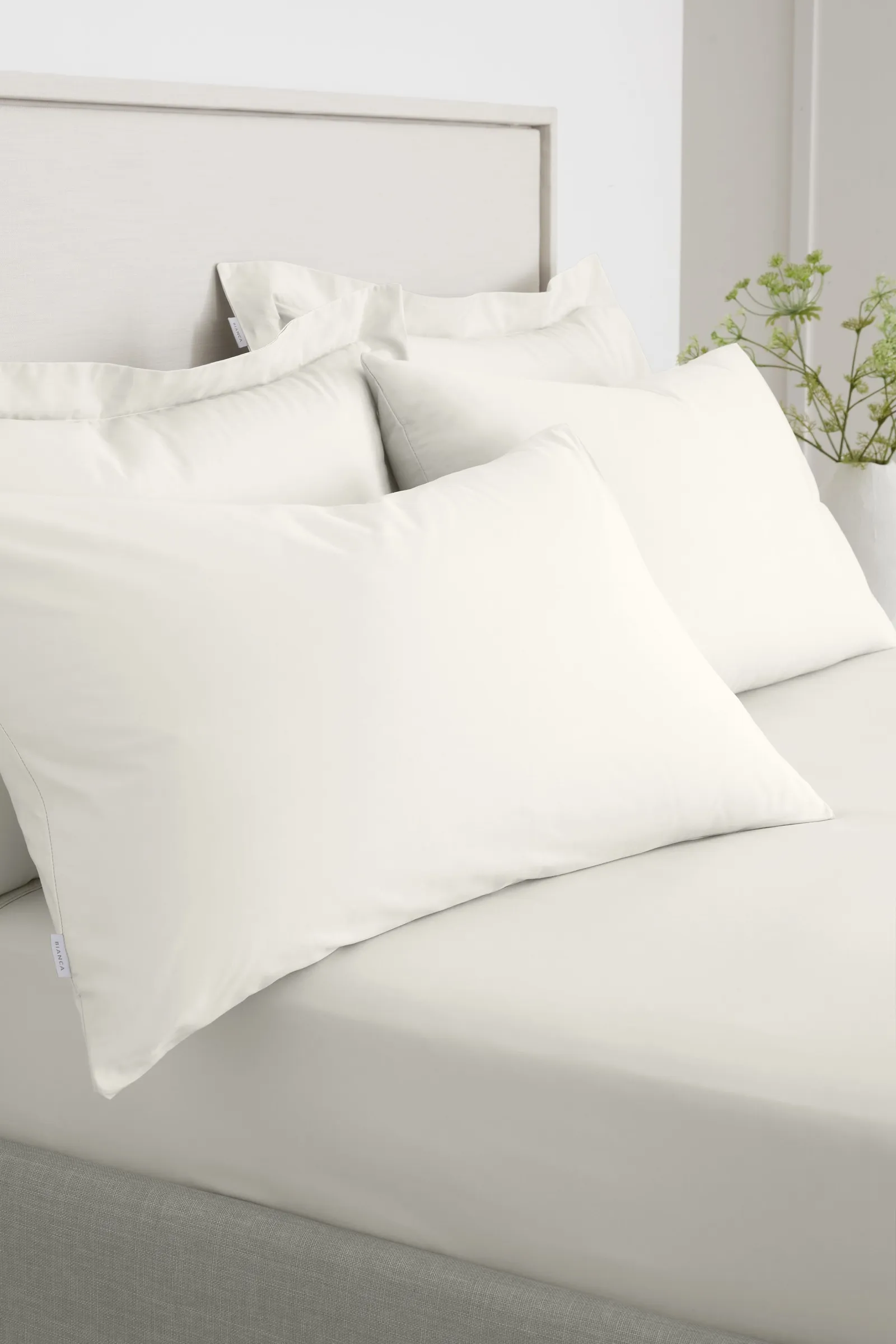 Bianca '200 Thread Count Cotton Percale' Standard Pillowcase Pair in Cream