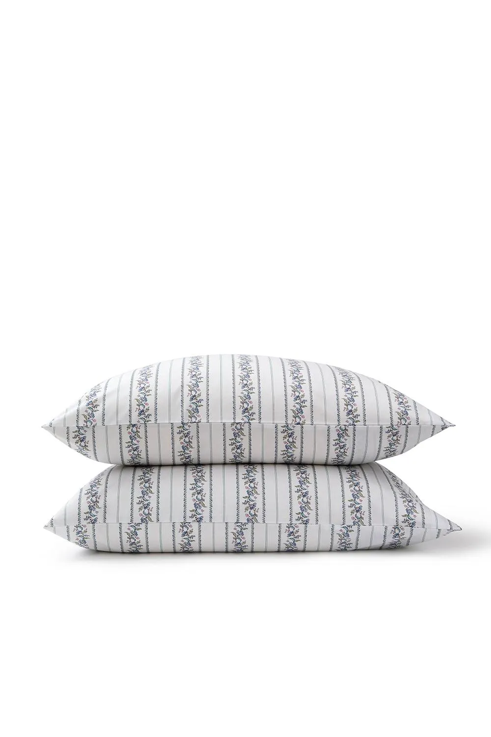 CHRISTY 'Clara' Jacobean Floral Striped Percale Standard Pillowcase Pair in Blue