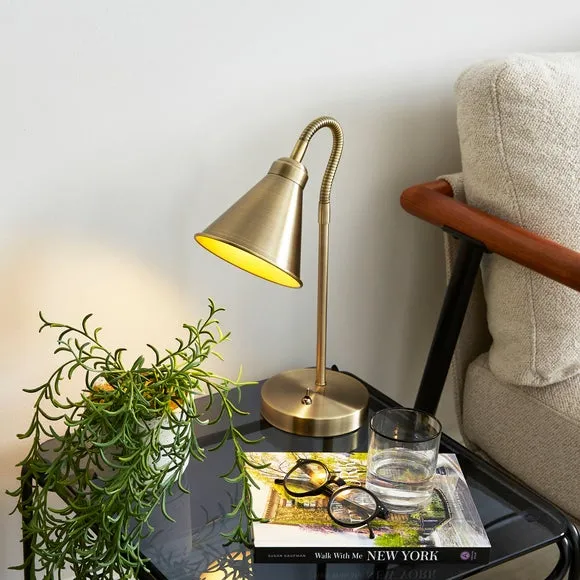 Newton Industrial Goose Neck Adjustable Table Lamp
