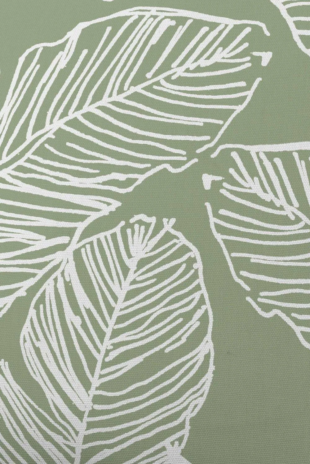 Fusion 'Matteo' Hand Drawn Leaf Print Filled Cushion 100% Cotton in Green 3