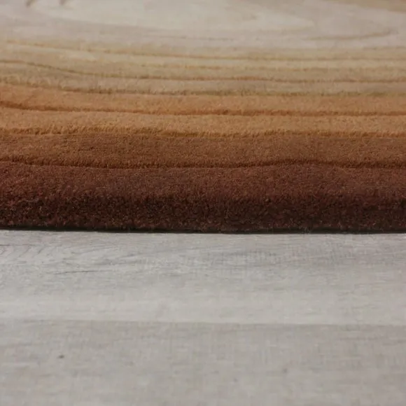 Puddle Ombre Wool Rug 4