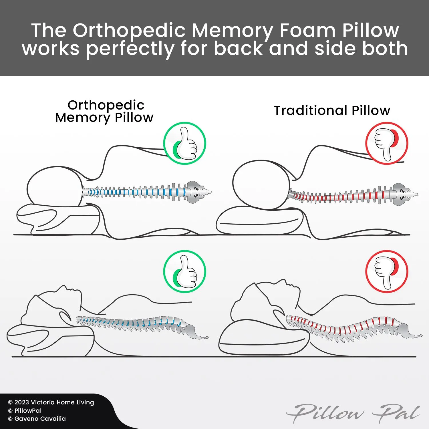 GAVENO CAVAILIA Orthopedic Pillow in White 6