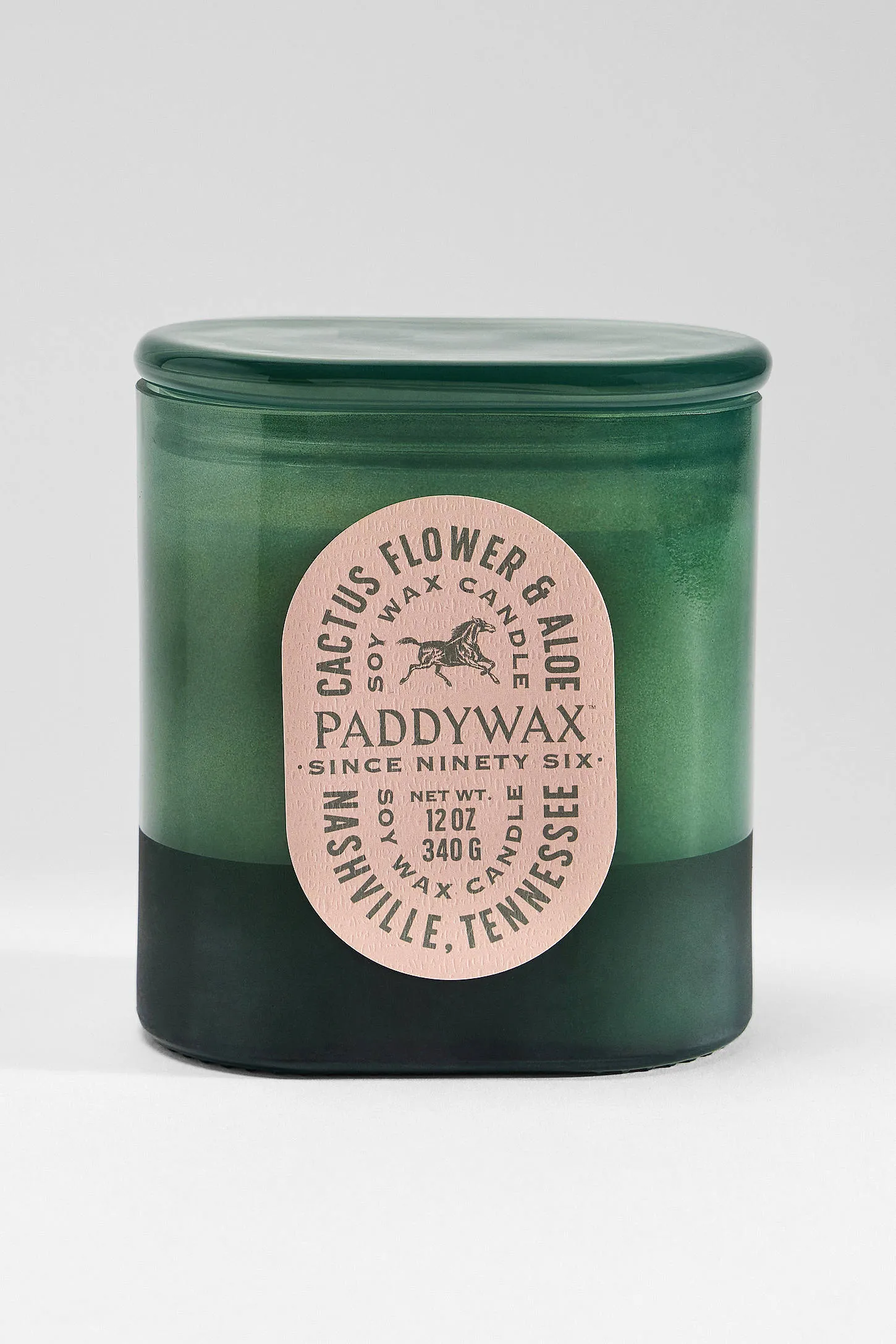 Paddywax Vista Cactus Flower & Aloe Soy Wax 12oz Candle ALL