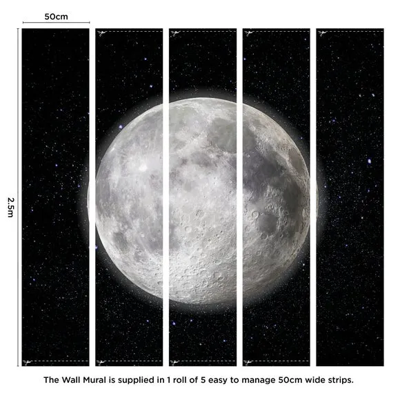 Moon Wall Mural 3