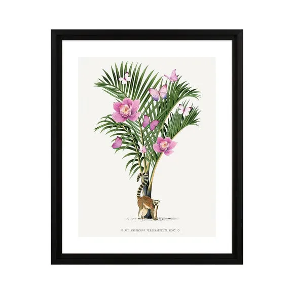 The Art Group Lemur Palm Framed Print 2