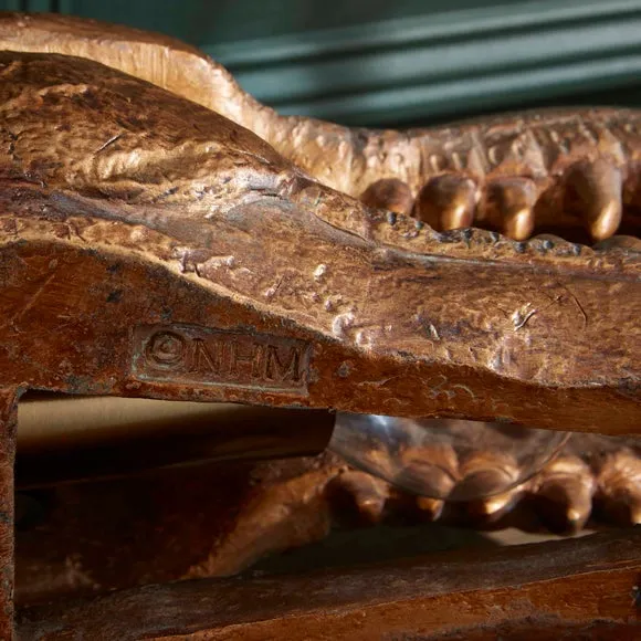 Tyrannosaurus Skull Table Lamp 3