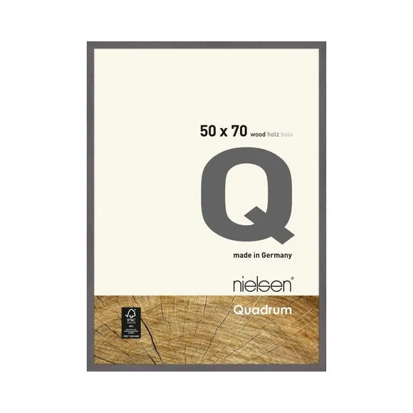 Nielsen Quadrum Photo Frame 1
