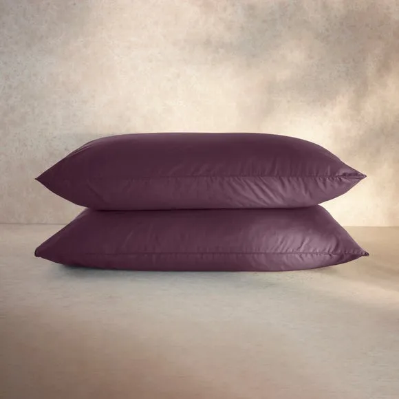 100% Egyptian Cotton 220 Thread Count Standard Pillowcase Pair 5