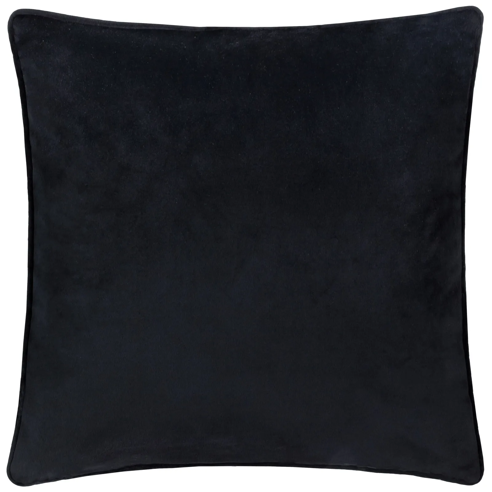 Paoletti Guilded Palms Embroidered Cushion in Black 3