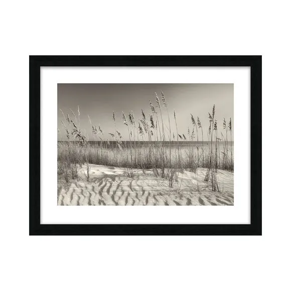 The Art Group Dune Grass Framed Print 2