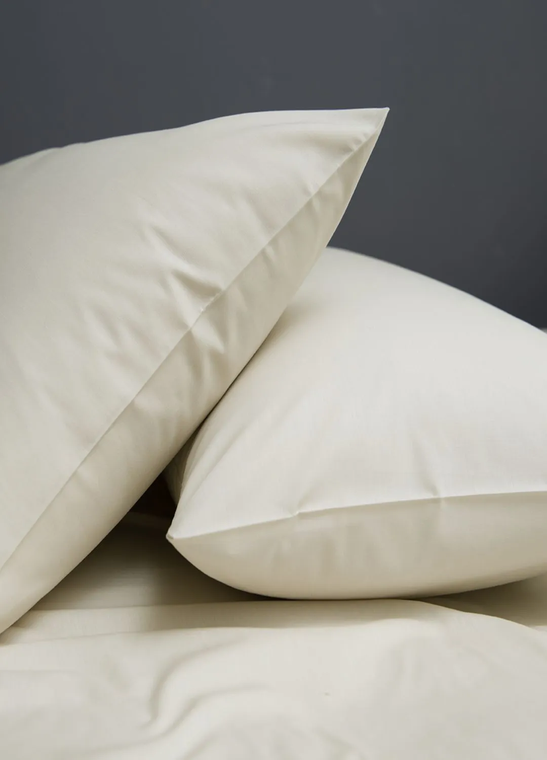 The Lyndon Company 800 Thread Count Prosecco Cotton Housewife Pillowcase in White 2