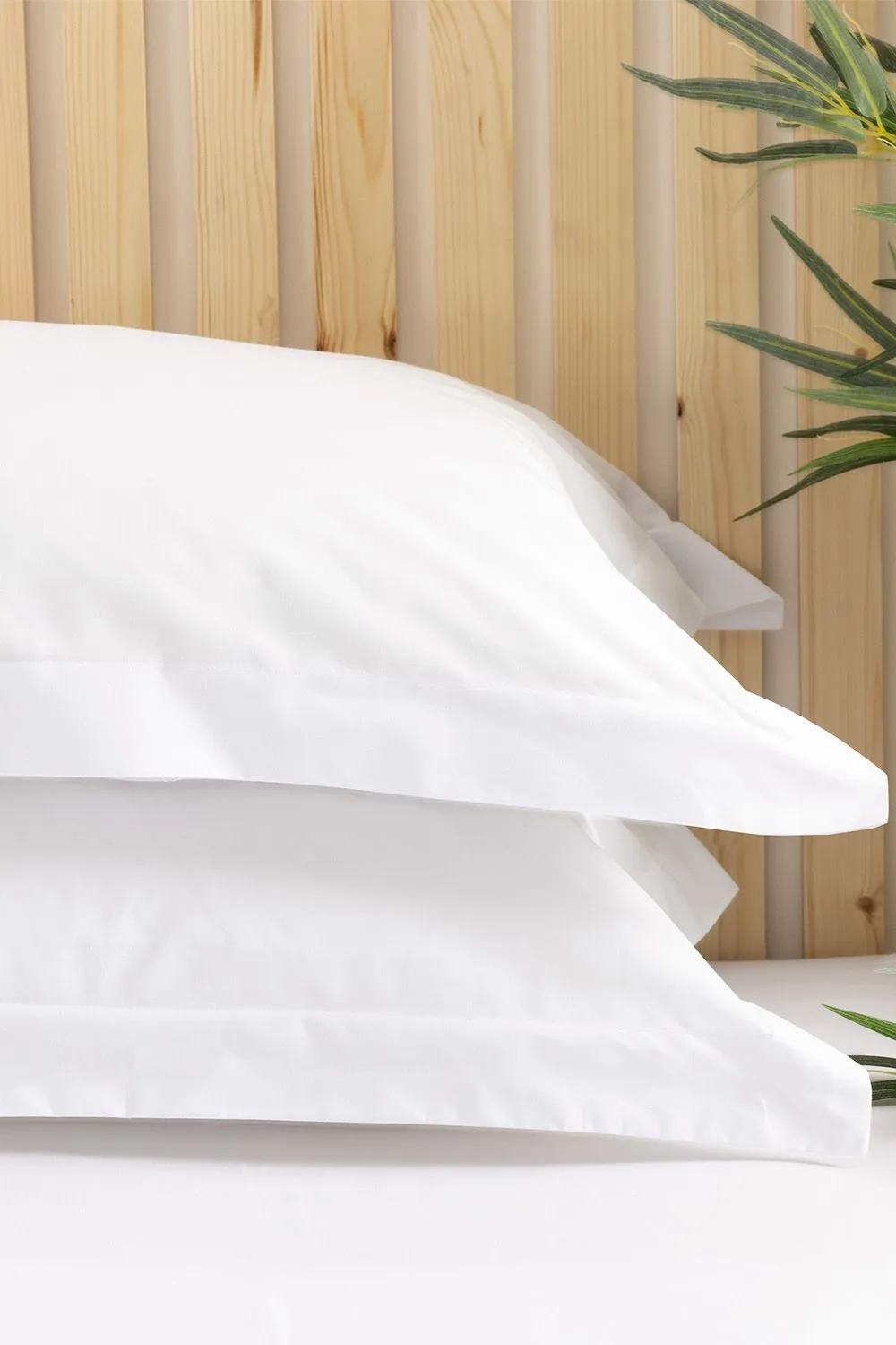 Belledorm Easy Care 200 Thread Count Cotton Polyester Percale Oxford Pillowcase in Ivory 2