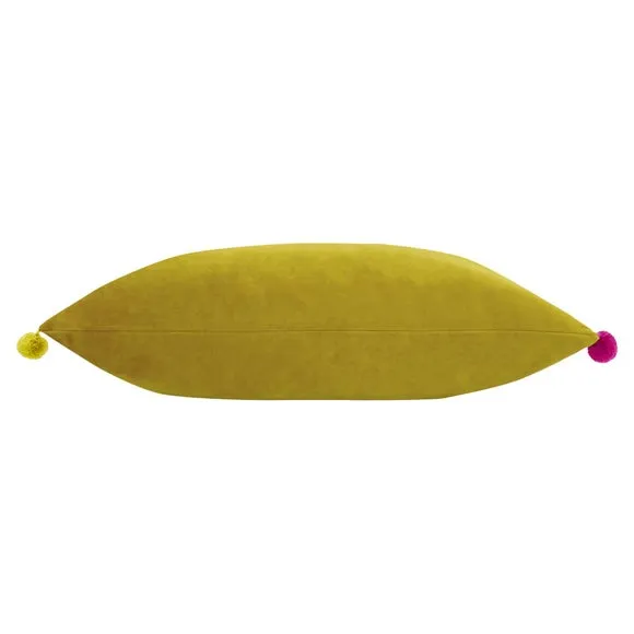 Fiesta Cushion 2