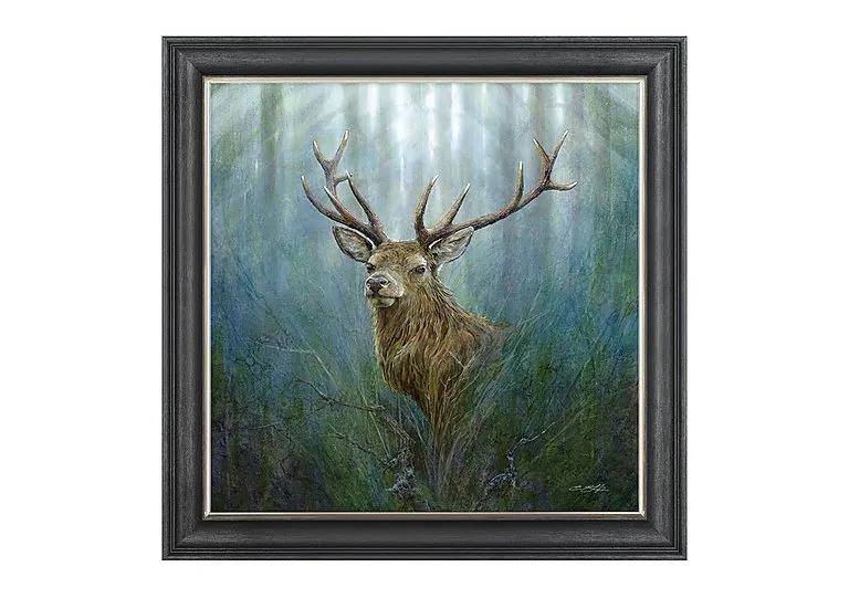 Red Deer Stag Framed Art