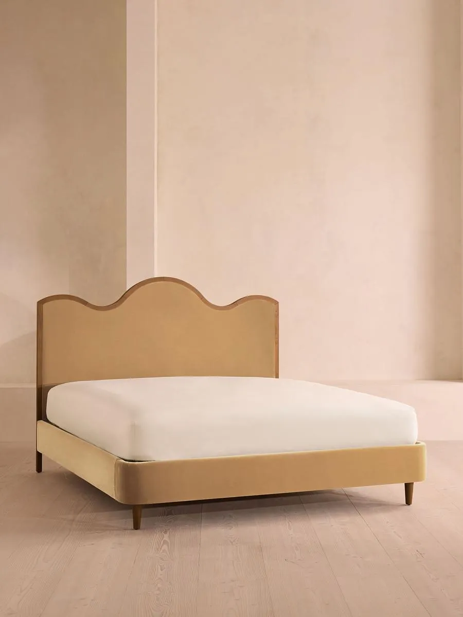 Aubrey Bed, King, Velvet, Camel