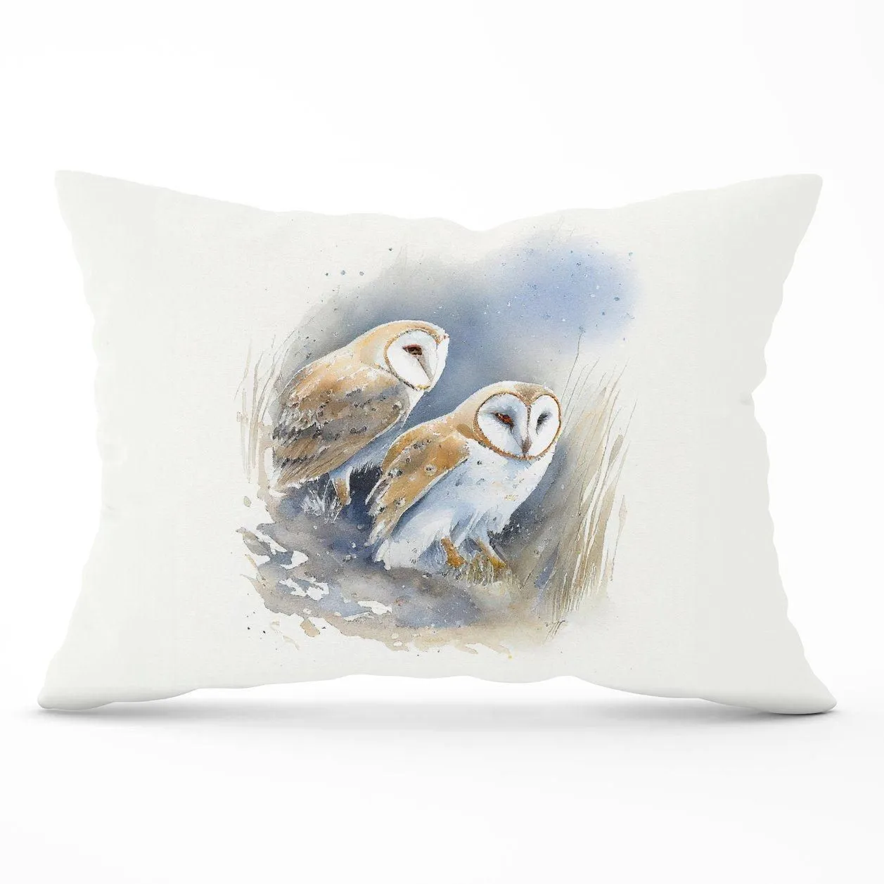 Warren Reed - Designer Barn Ano Owls Watercolour Cushions in Brown