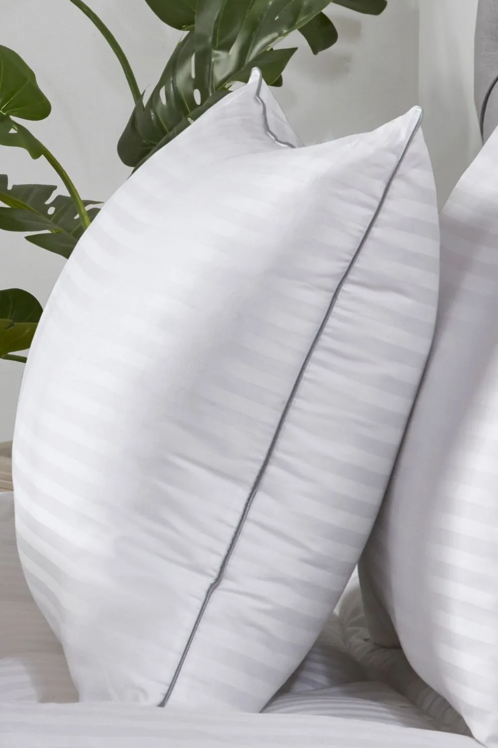 BHS 5 Star Hotel Collection Australian Wool Single Pillow in White 5