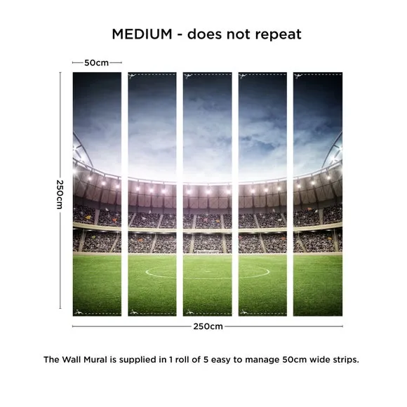 Football Stadium Wall Mural 3