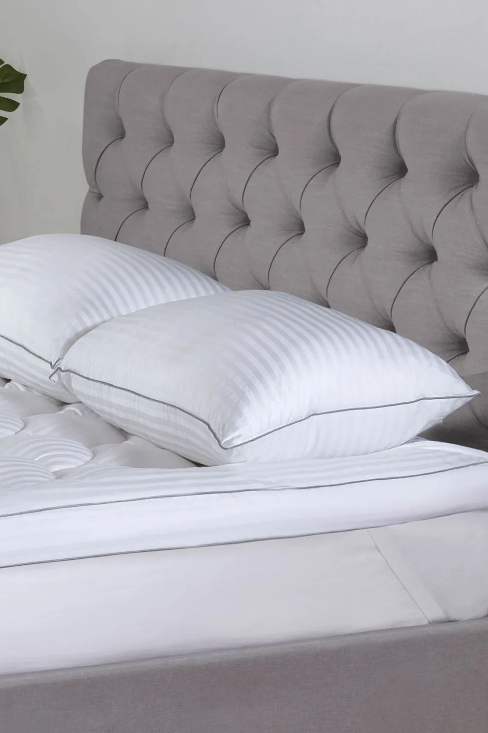 BHS 5 Star Hotel Collection Australian Wool Single Pillow in White