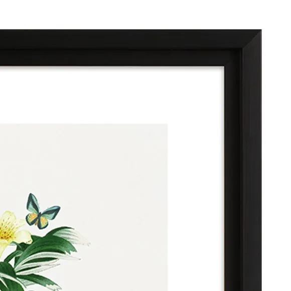 The Art Group Tiger Palm Framed Print 3