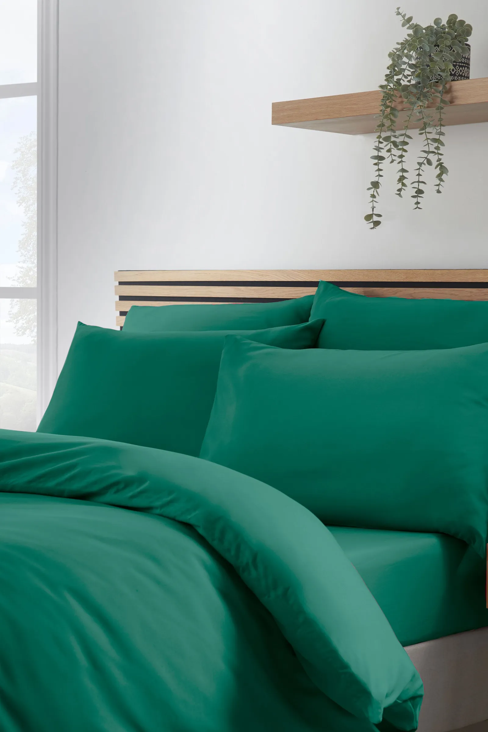 Catherine Lansfield So Soft Non Iron Duvet Cover Set in Teal 3