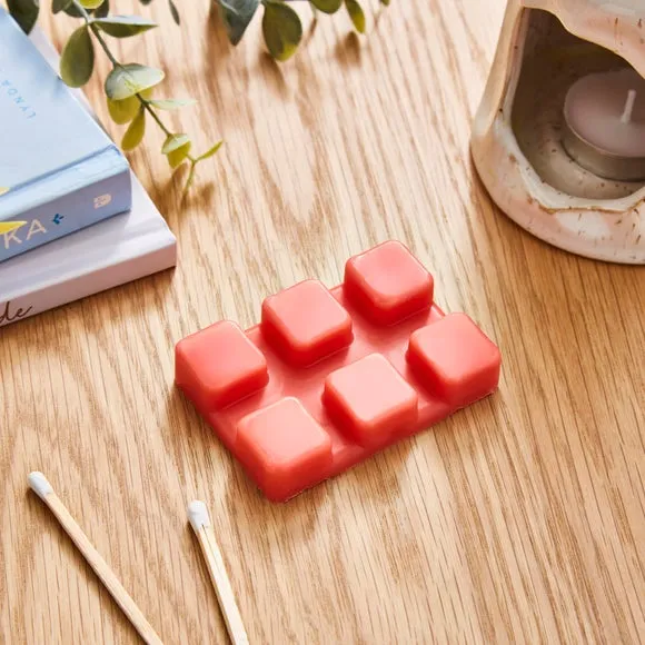 Set of 6 Raspberry & Rhubarb Wax Melts