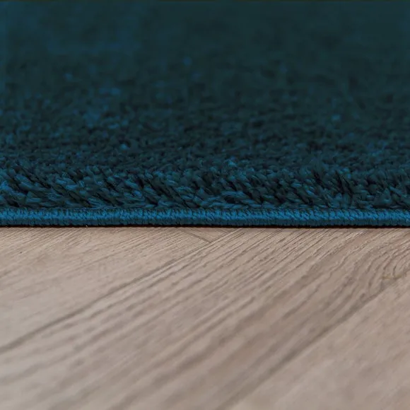 Sheen Shaggy Rug 4