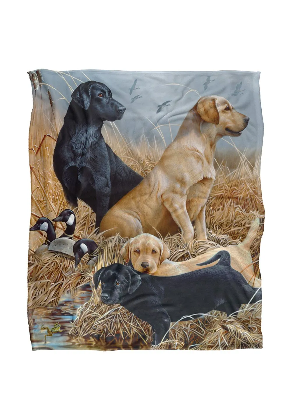 JQ Licensing Jg-Jp Labrador Hunting Dogs Silky Touch Super Soft Throw Blanket 152 X 127 cm in White