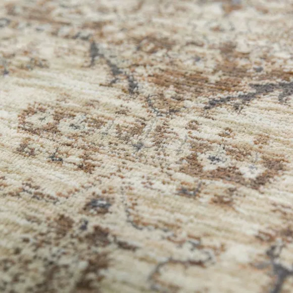 Liora Traditional Rug 2