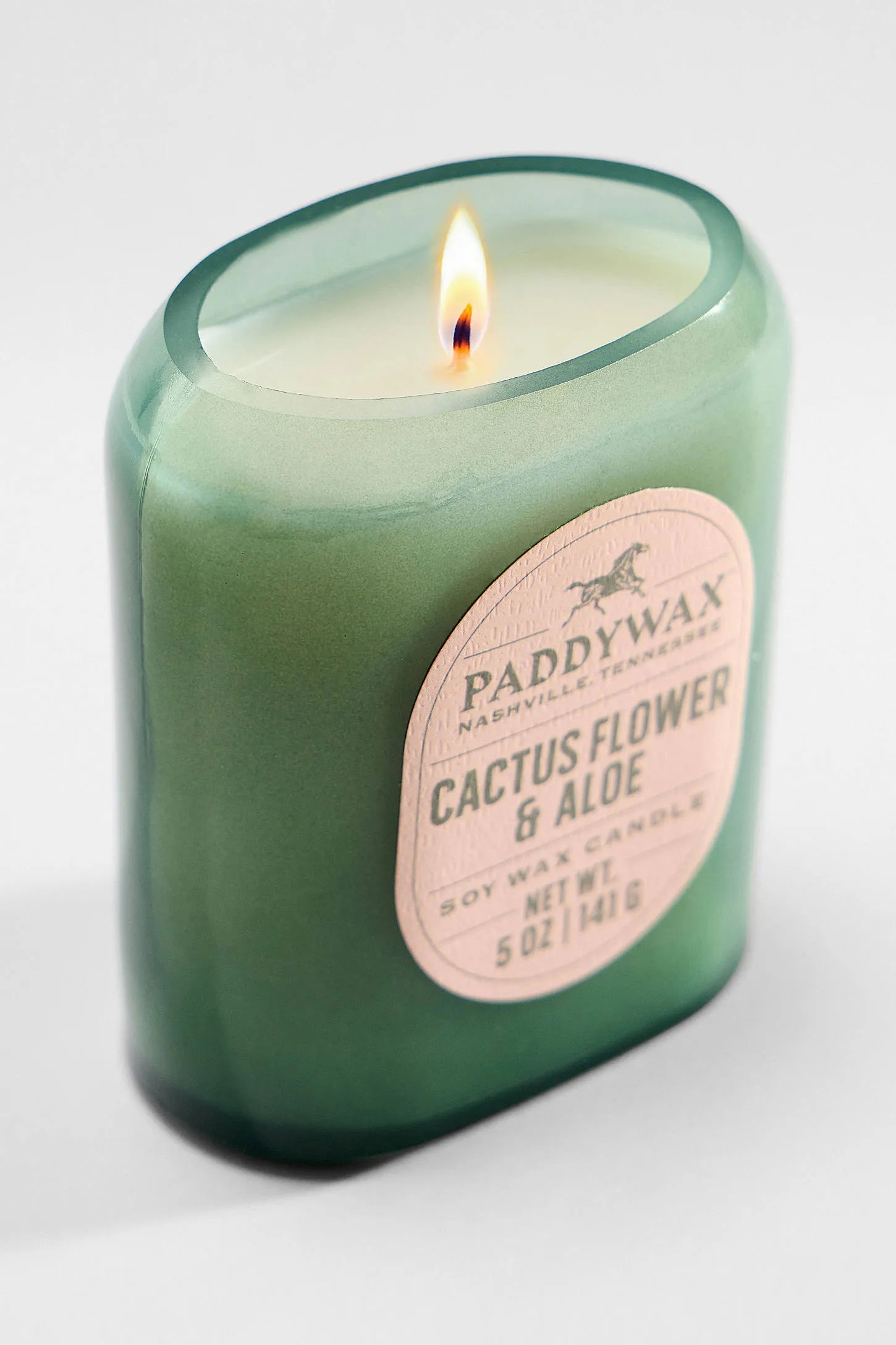 Paddywax Vista Cactus Flower & Aloe Soy Wax 5oz Candle ALL 3