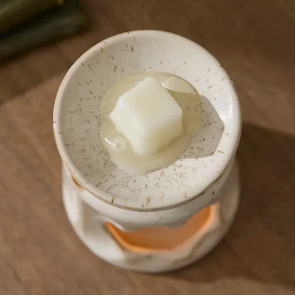 Set of 6 Autumn Pumpkin Wax Melts 2