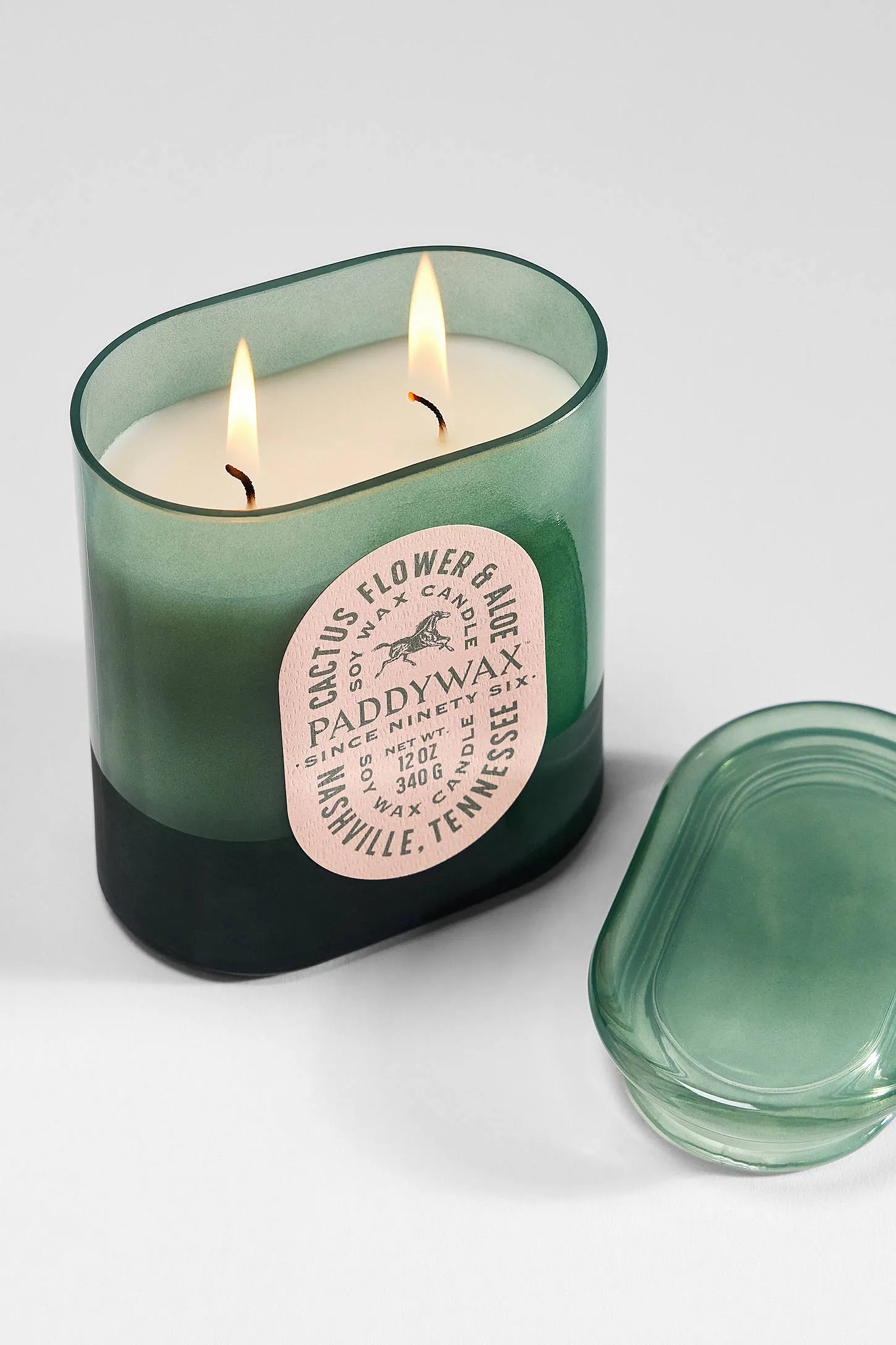 Paddywax Vista Cactus Flower & Aloe Soy Wax 12oz Candle ALL 3