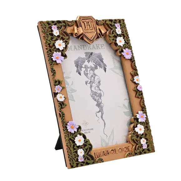 Harry Potter Herbology Photo Frame 3