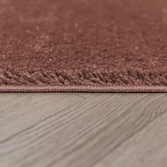 Sheen Shaggy Rug 4
