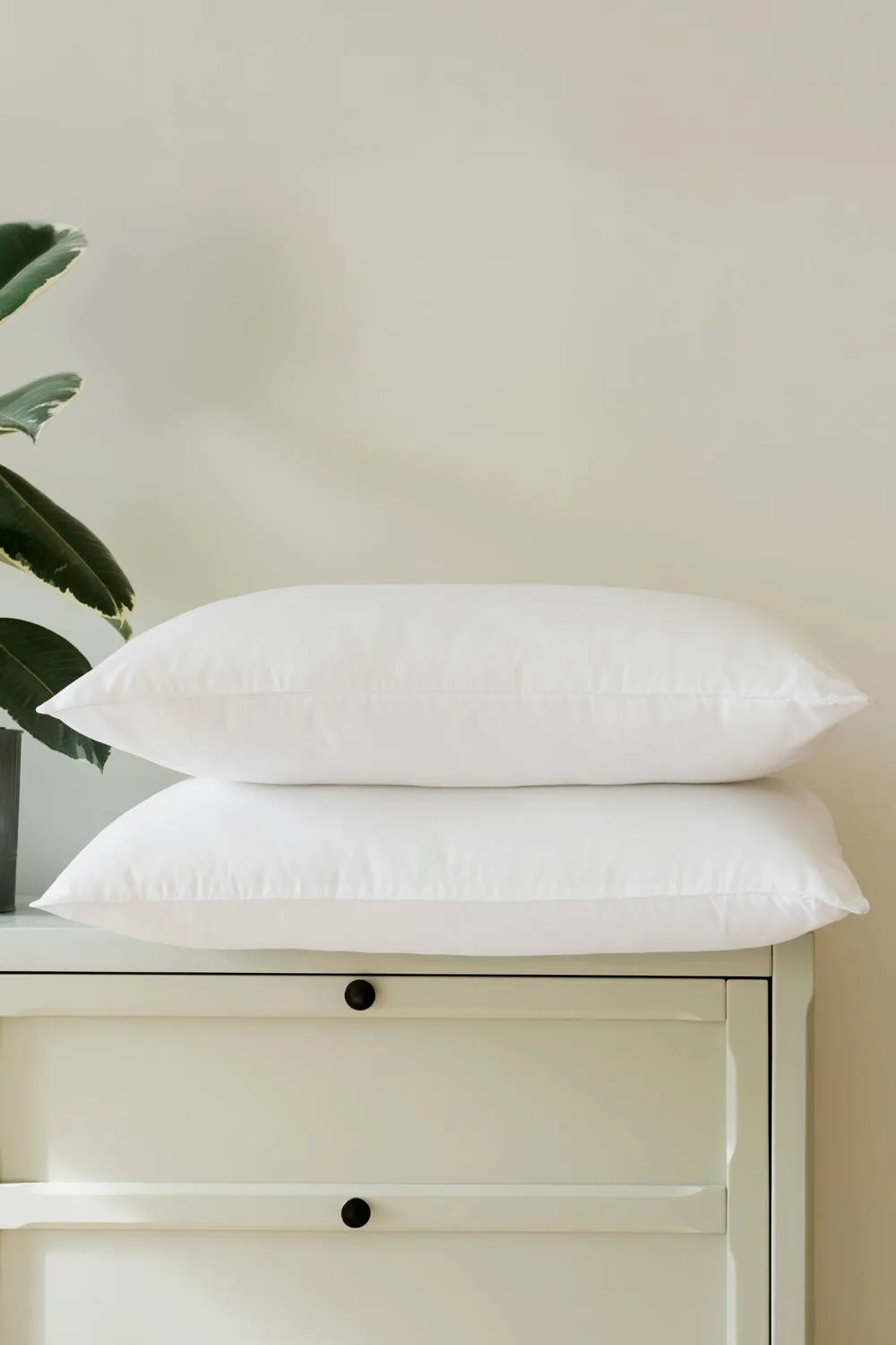 Soak&Sleep Soft Touch 2 pack Pillow in White 4